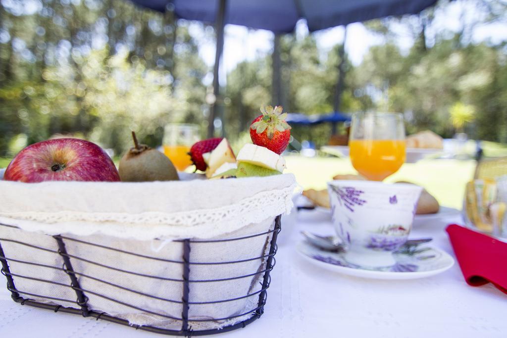 Neike Boutique Hotel 马尔多纳多 外观 照片
